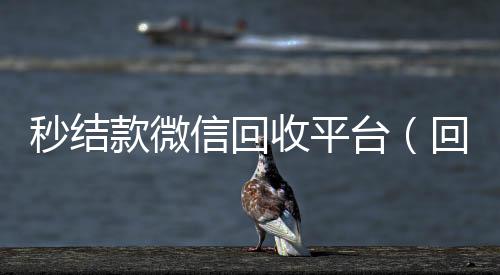秒结款微信回收24小时在线回收vx平台（回收vx秒结联系方式）