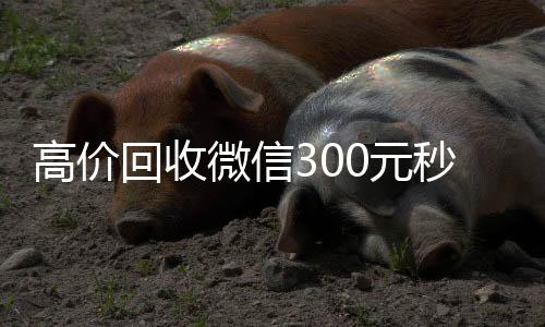 高价回收微信30024小时收微信元秒结（高价回收微信24小时回收）