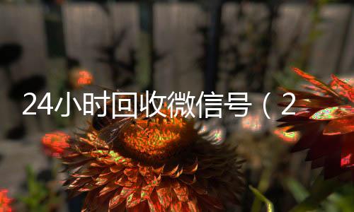 24小时回收微信2020在线回收微信秒结号（24小时回收微信号联系方式）
