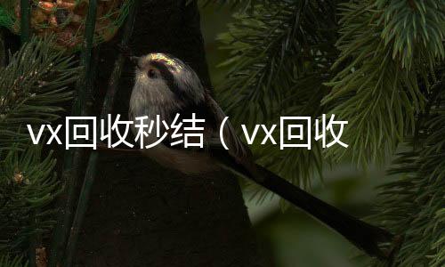 vx回收秒结收购微信号平台（vx回收秒结500）